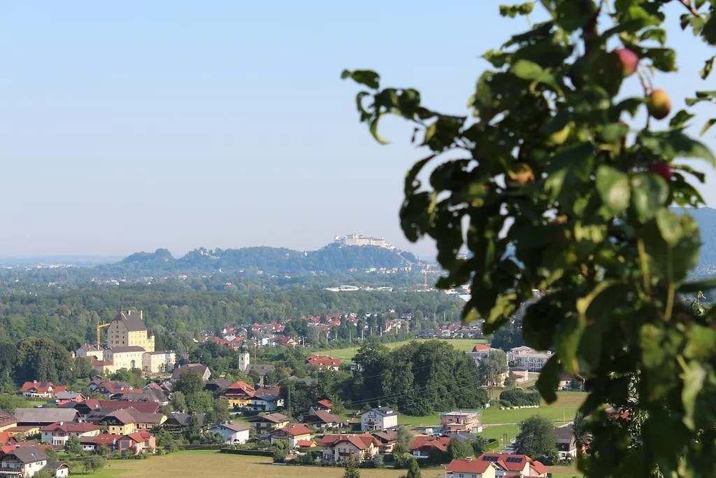 Haus Haslach Elsbethen Lejlighed